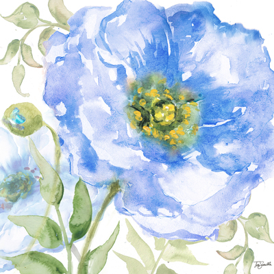 Saphire Bloom 2