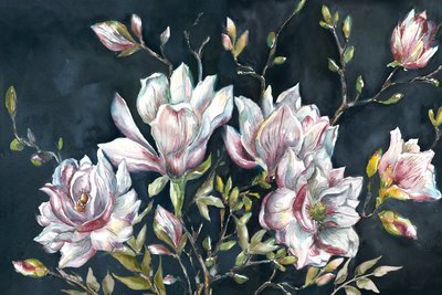 Watercolor Magnolia Branches on Black Horizontal