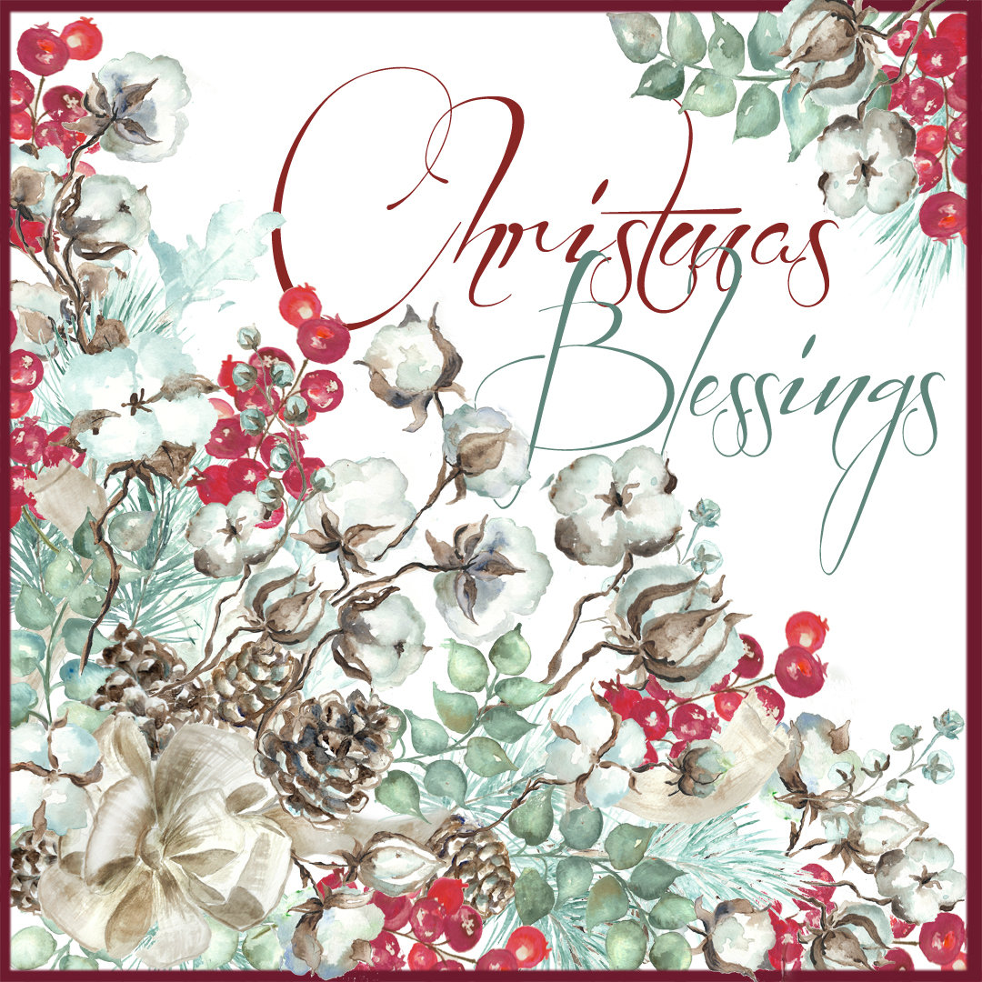 Cotton Bolls and Red Berries &quot;Christmas Blessings&quot; Watercolor