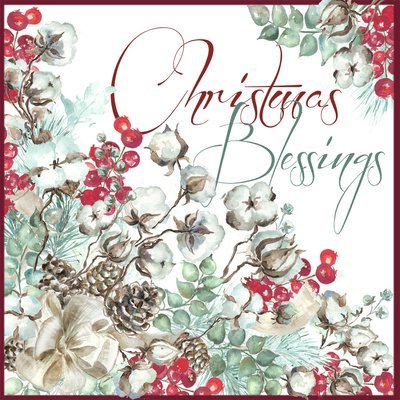 Cotton Bolls and Red Berries "Christmas Blessings" Watercolor Cotton Bolls and Red Berries "Christmas Blessings" Watercolor