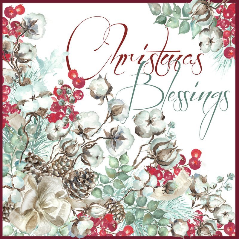 Cotton Bolls and Red Berries &quot;Christmas Blessings&quot; Watercolor