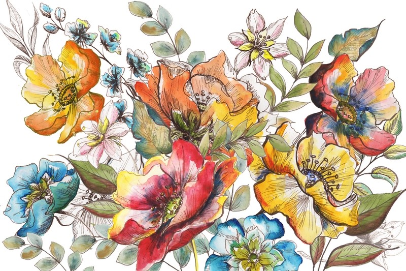 Boho Garden Sketch Watercolor on White
