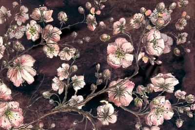Cherry Blossom Sketch on Marsala