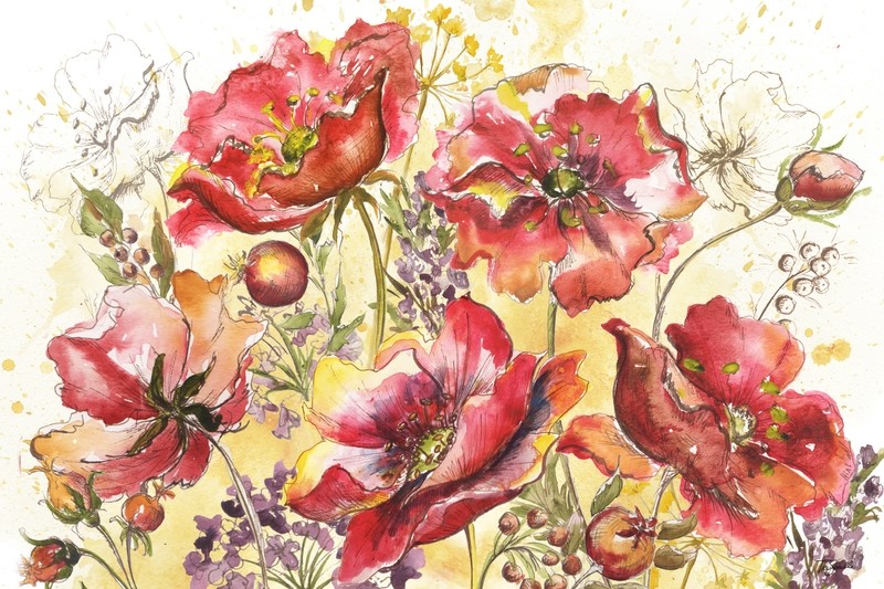 Bohemian Poppies Meadow
