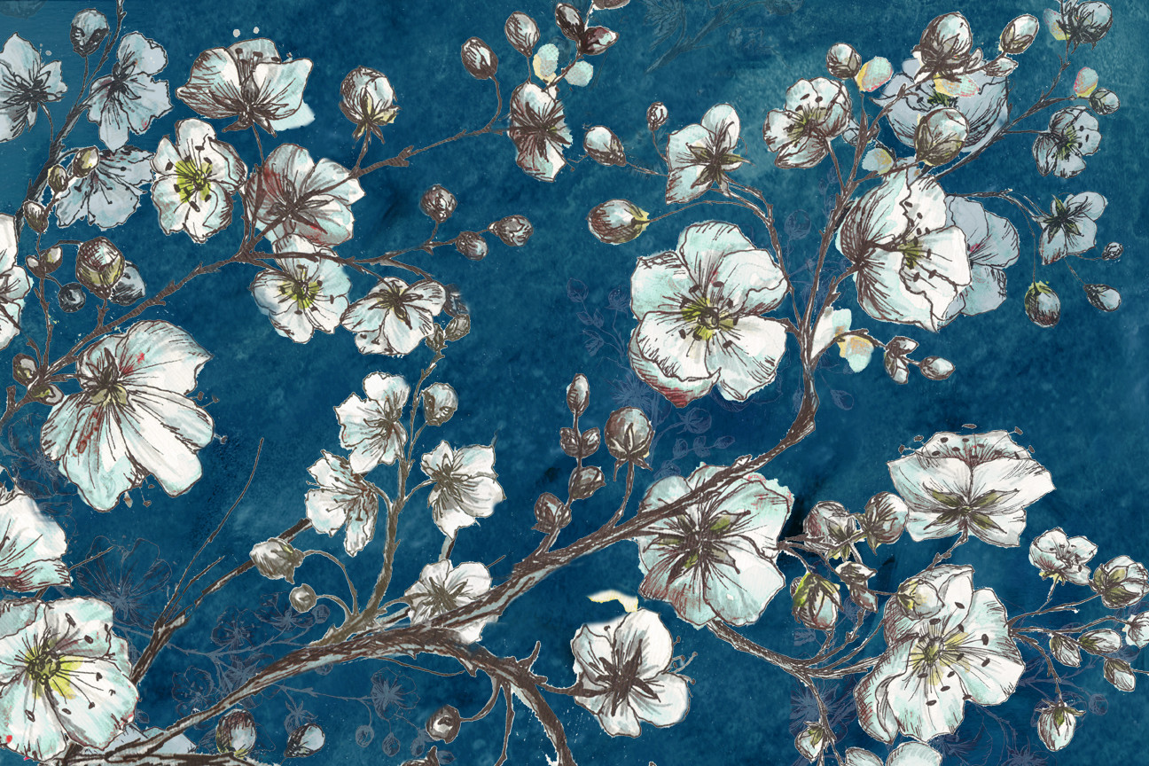 Cherry Blossom Sketch on Teal