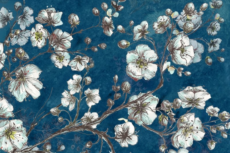 Cherry Blossom Sketch on Teal