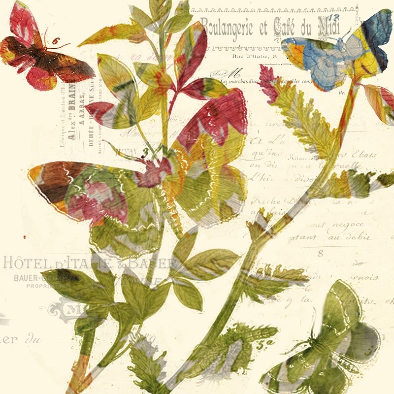 Antique Butterfly Square 3