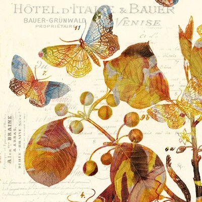 Antique Butterfly Square I