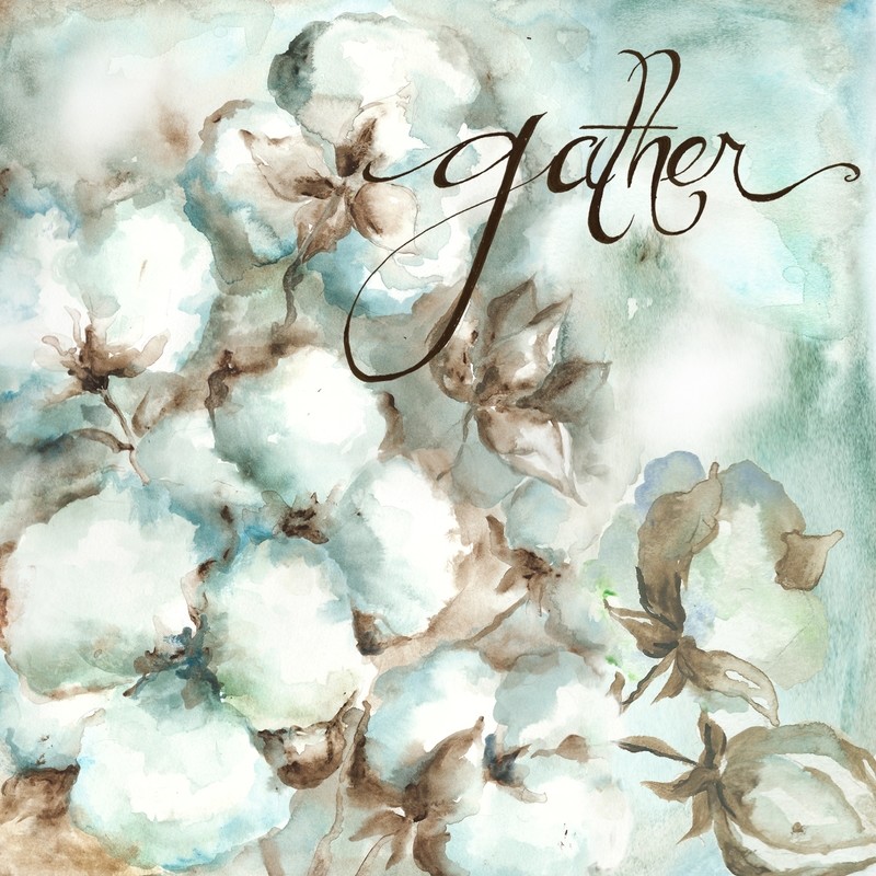 Cotton Boll Gather Watercolor Square