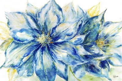 Indigo and Gold Clematis Flowers Watercolor