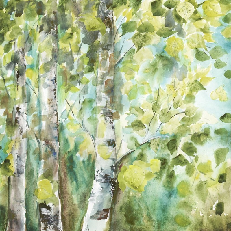 Watercolor Summer Aspens Square