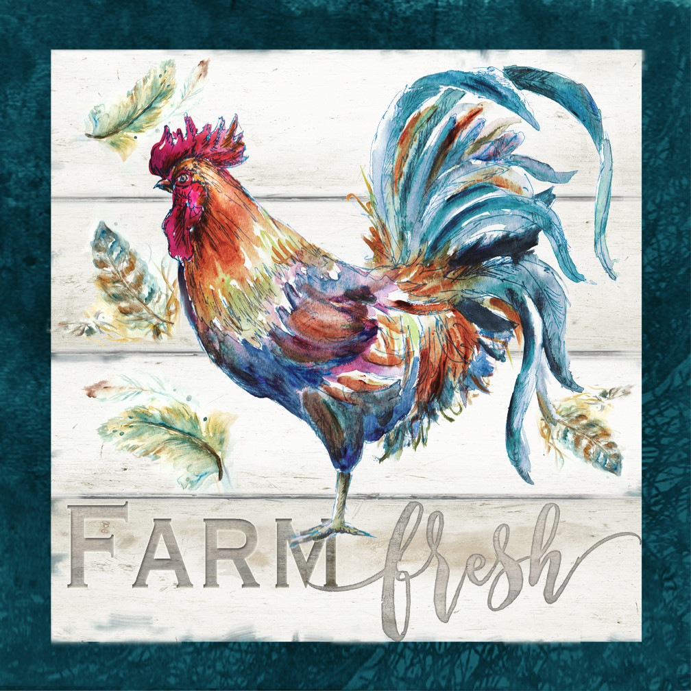 &quot;Farm Fresh&quot; Colorful Rooster and Feathers against Shiplap background Watercolor