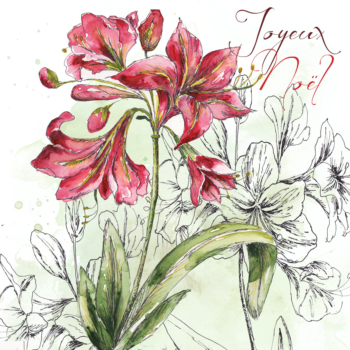 Holiday Amaryllis Square Joyeux Noel