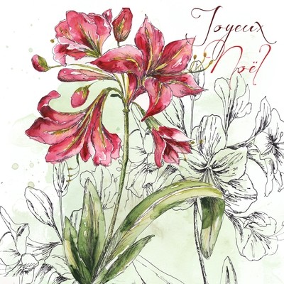 Holiday Amaryllis Square Joyeux Noel Holiday Amaryllis Square Joyeux Noel
