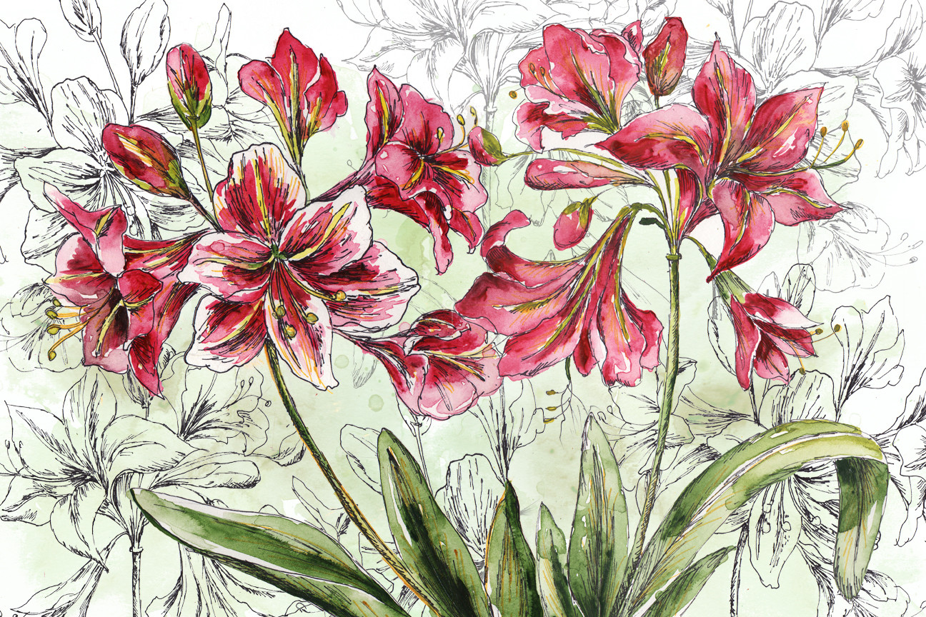 Holiday Amaryllis Landscape