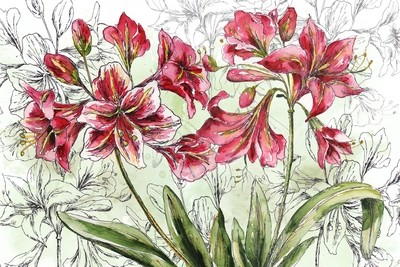 Holiday Amaryllis Landscape