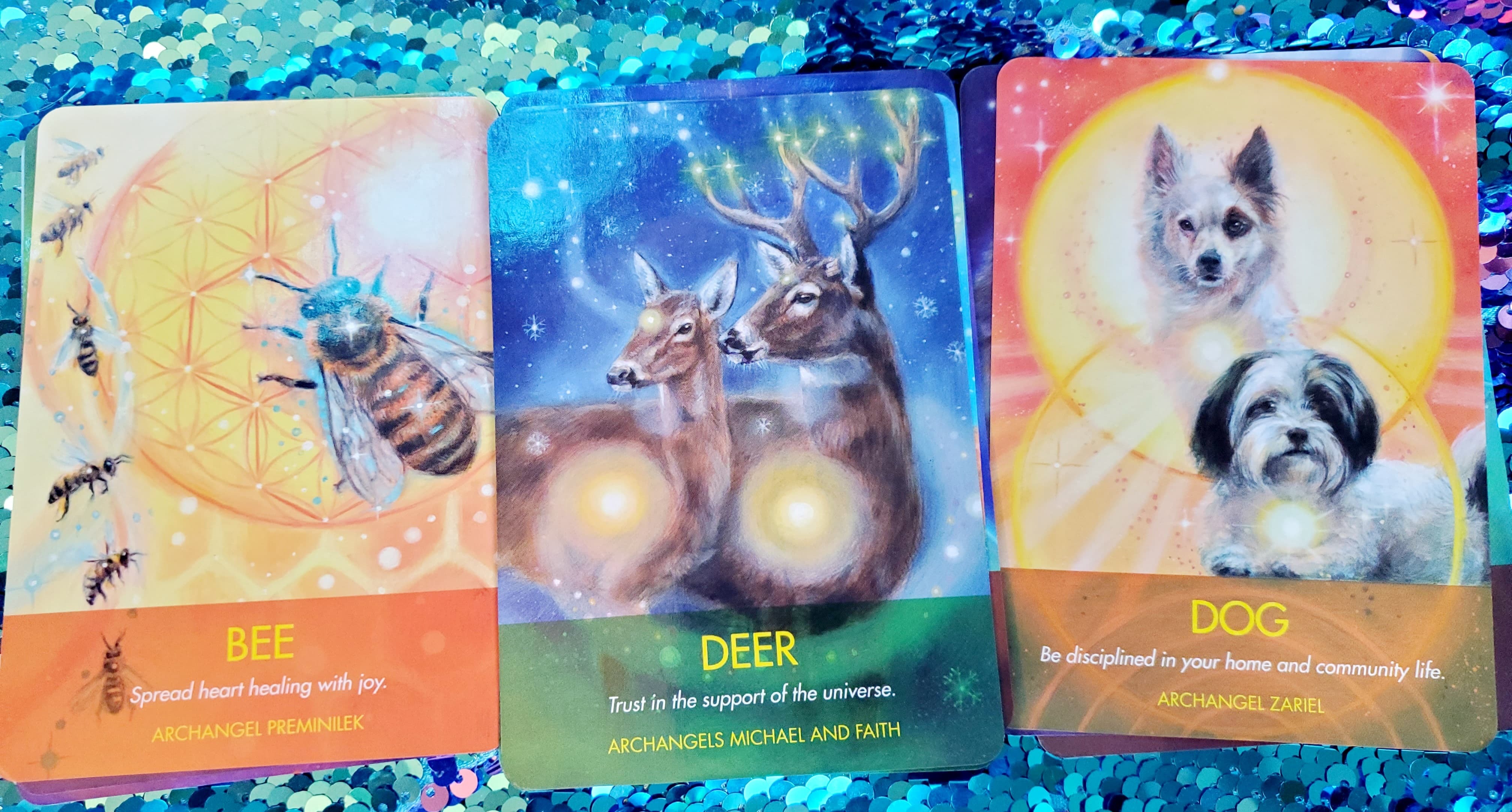 Archangel Animal Oracle Cards * new release – Store – Star Love Clarity LLC