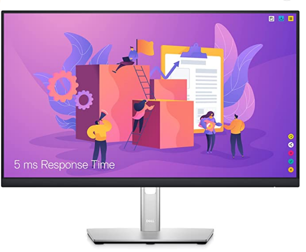 Dell 24 Monitor - P2422H - Full HD 1080p, IPS Technology, ComfortView Plus Technology (New in Box)    B1G301