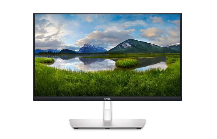 Dell P2424HT - LED monitor - Full HD (1080p) - 24" B1B401