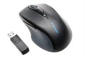 Full-Size Wireless Mouse                                                           B1B206