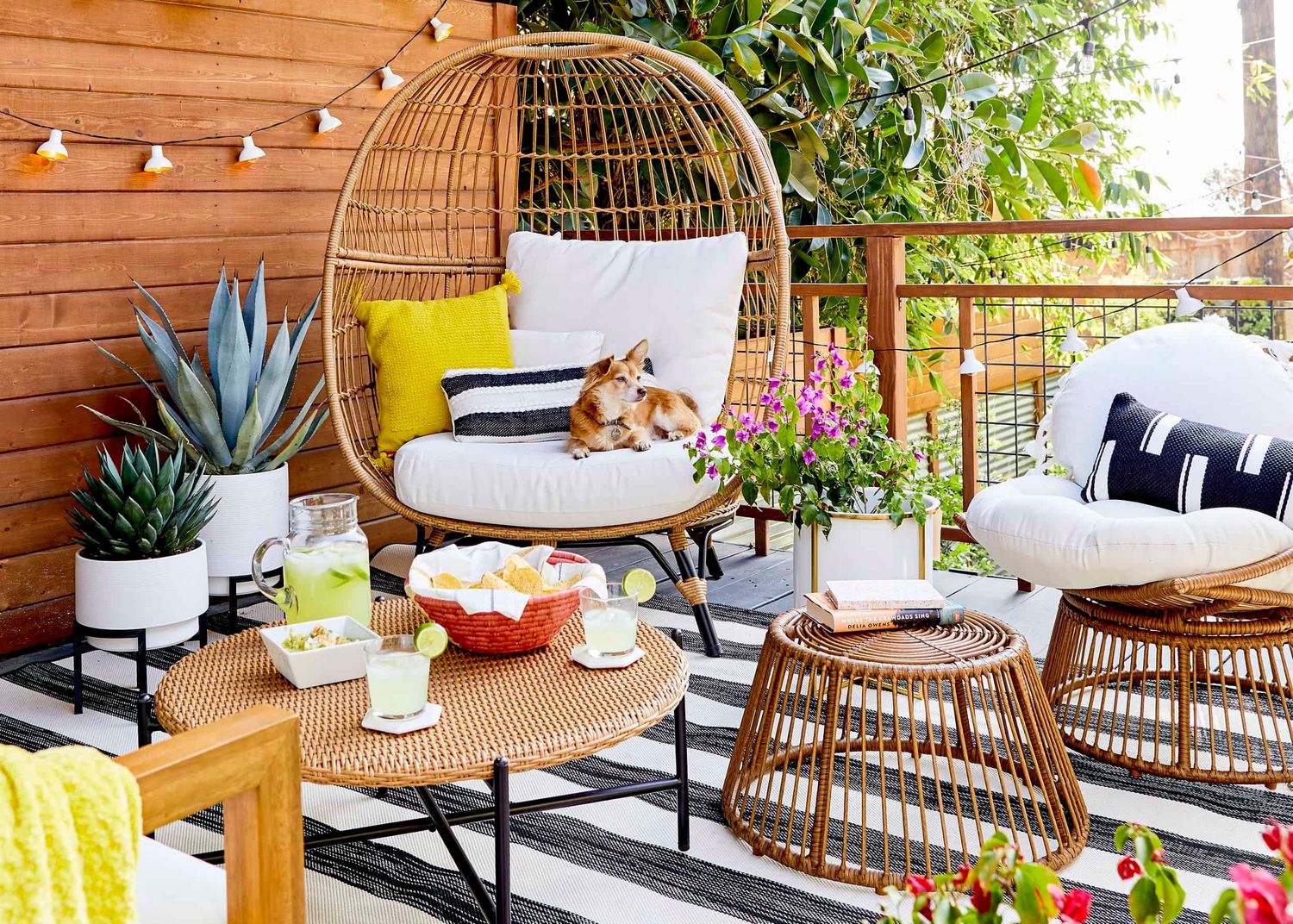 Garden and Outdoor