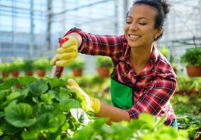Plant Caretaker Service