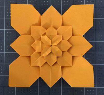Hydrangea Flower Tessellation