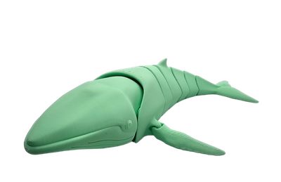 Flexi Humpback Whale