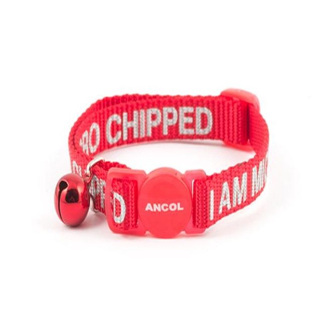 Safety Buckle Cat Collar Alert I Am Microchipped Red