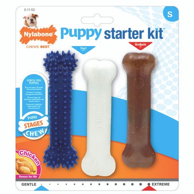 Nylabone Puppy Starter Kit Puppy
