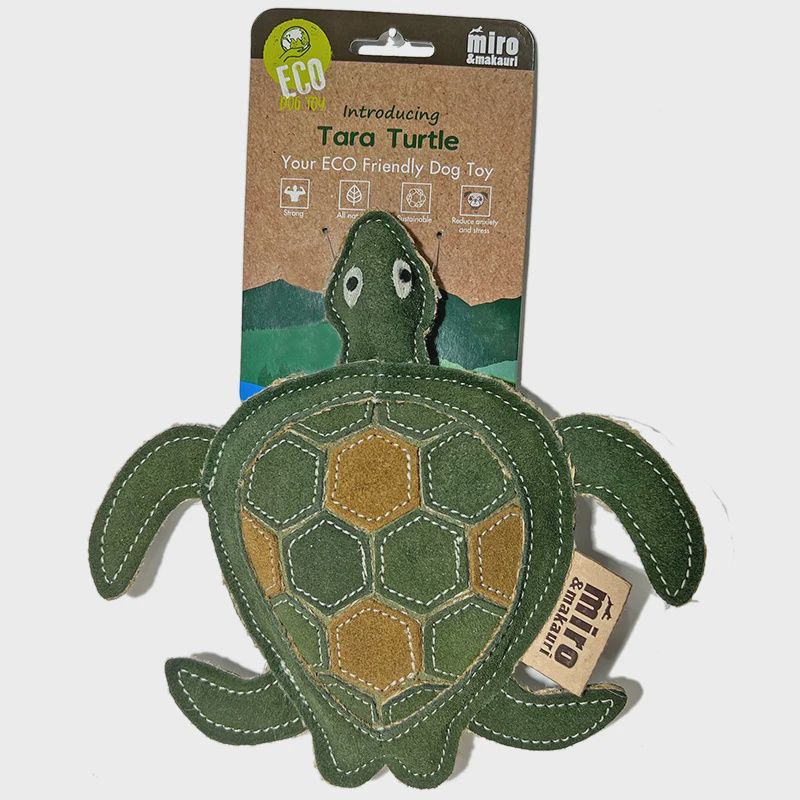 Tara Turtle Eco Dog Toy