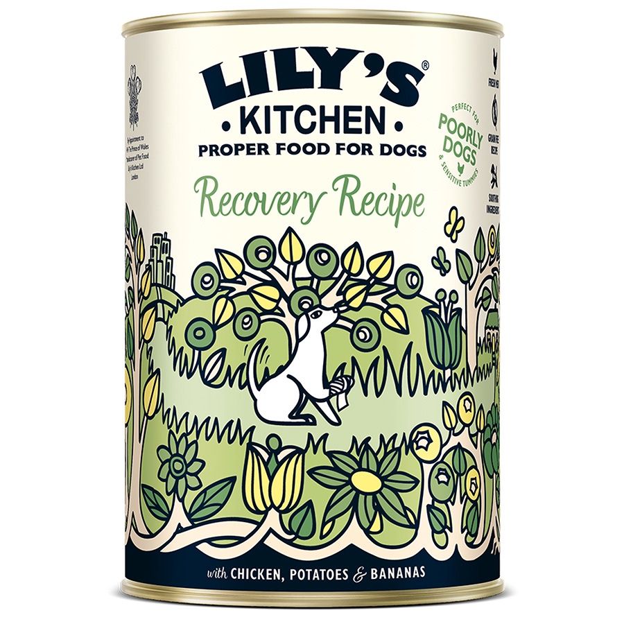 Lilys Kitchen - Recovery Recipe 400g