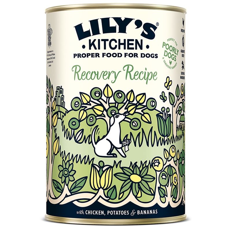 Lilys Kitchen - Recovery Recipe 400g