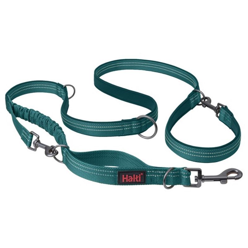COA Halti Anatomy Multi Lead Teal Small COA Halti Anatomy Multi Lead Teal Small