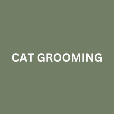 Cat Grooming