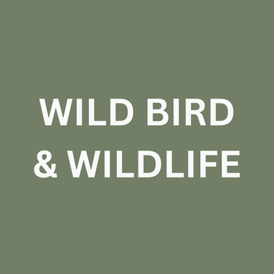 Wild Bird &amp; Wildlife