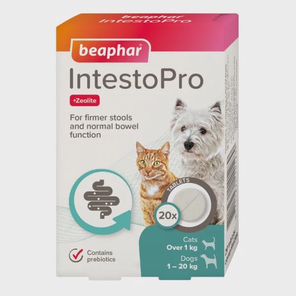 IntestoPro Prebiotic Stool Firming Tablets for Cats &amp; Small Dogs
