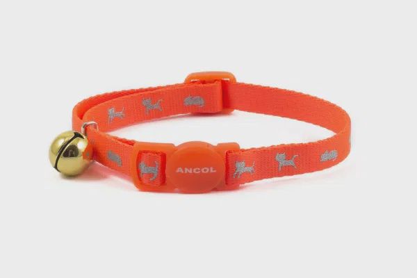 Safety Buckle Cat Collar Hi Vis Reflective Orange Safety Buckle Cat Collar Hi Vis Reflective Orange