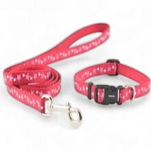 Ancol Puppy Collar and Lead Set Stars Red