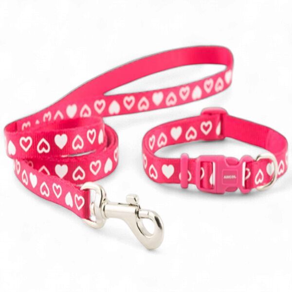 Ancol Puppy Collar and Lead Set Hearts Red
