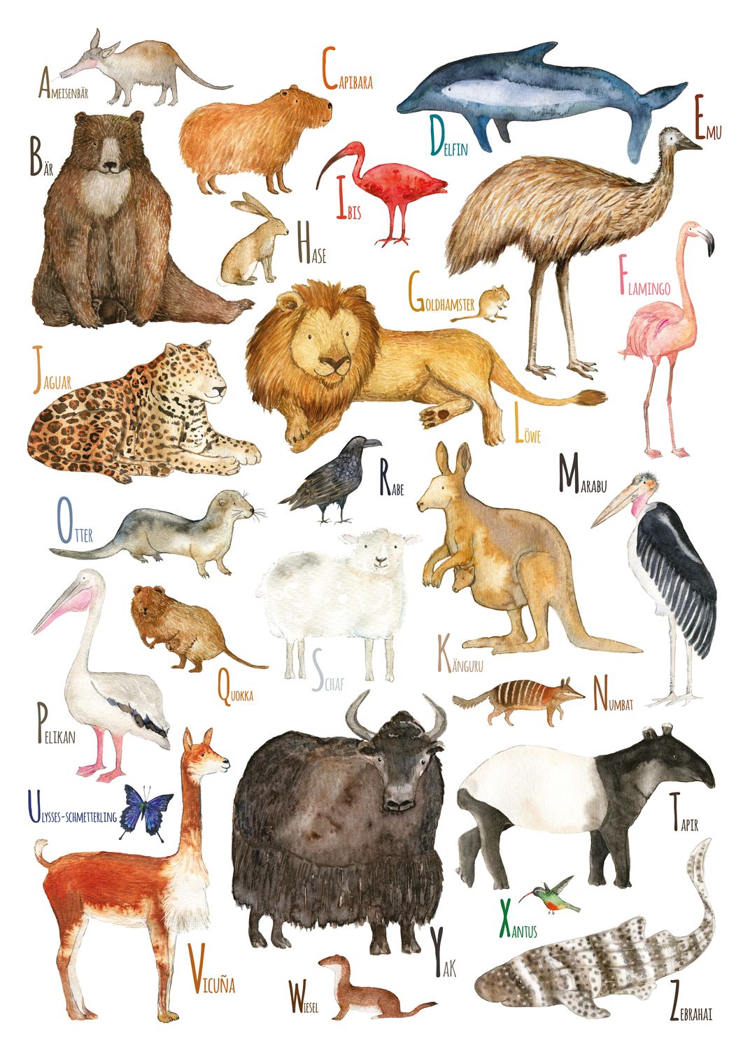 Animal ABC (DE)