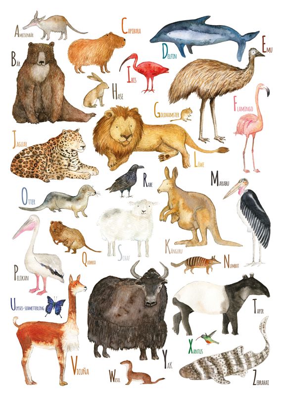 Animal ABC (DE)
