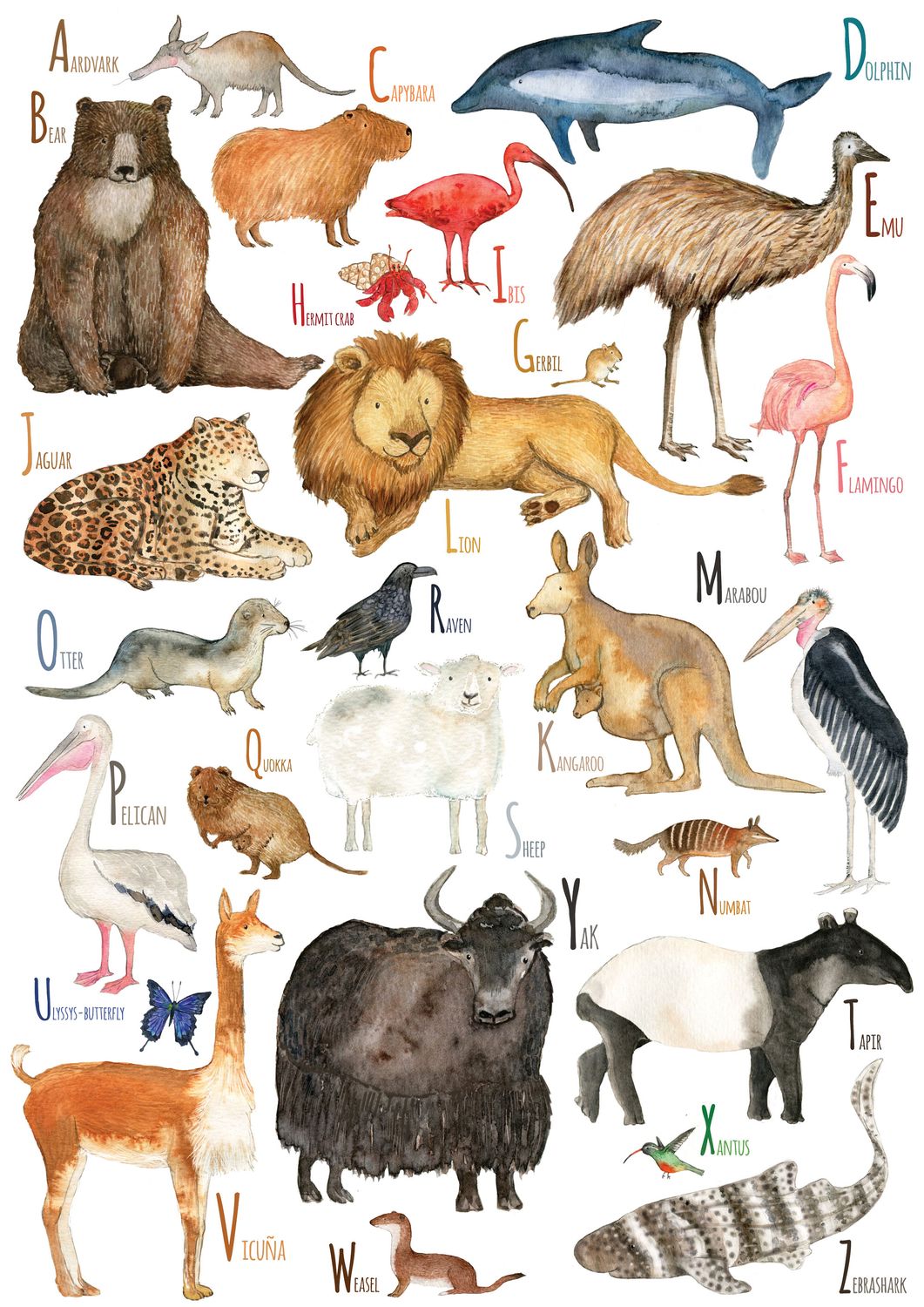 Animal ABC (NL)
