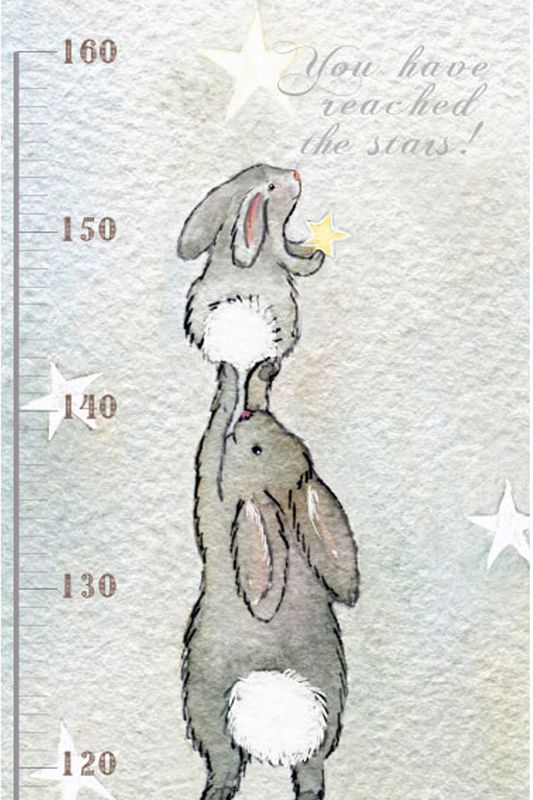 Fluffy Rabbits height chart meter 