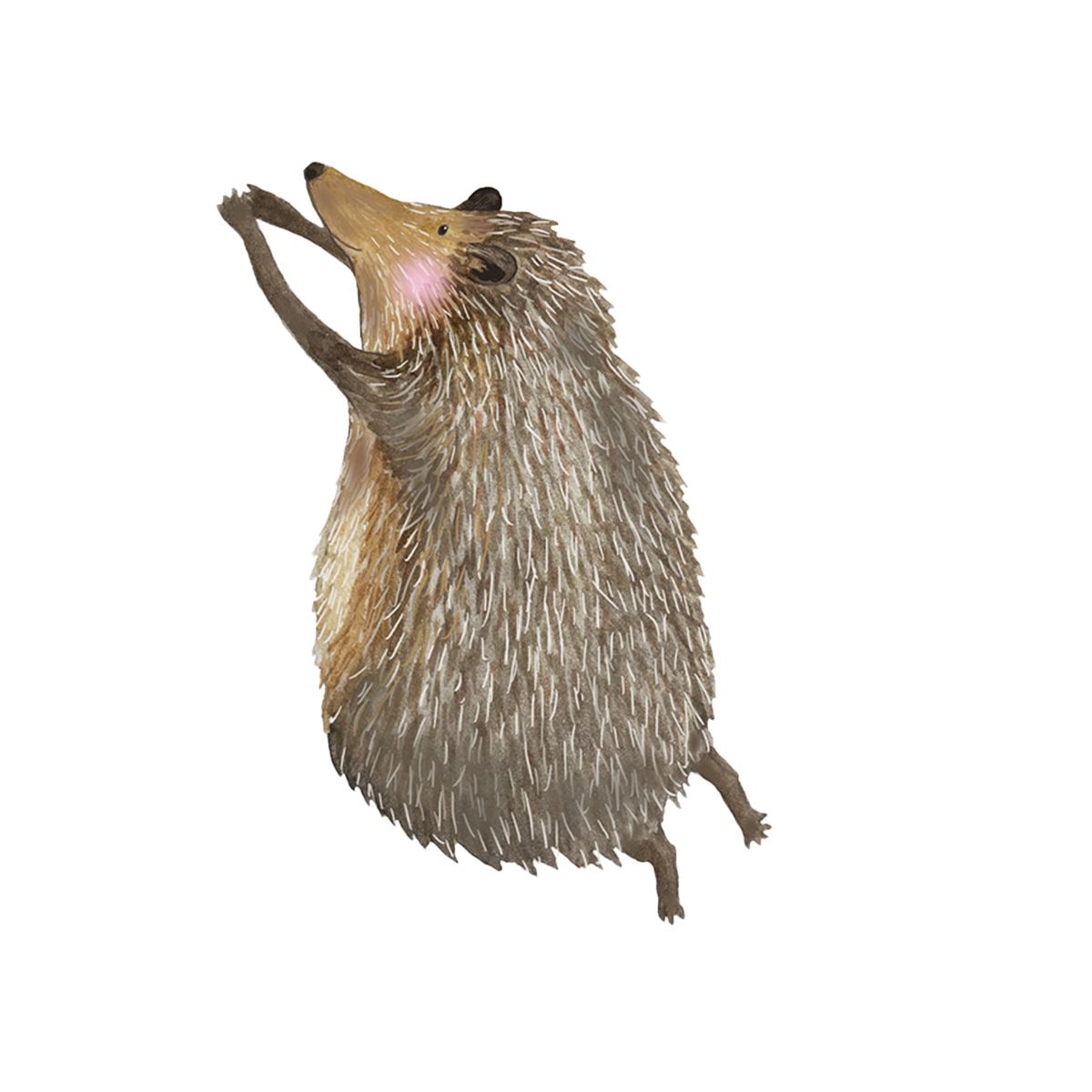 Wallsticker Hedgehog 