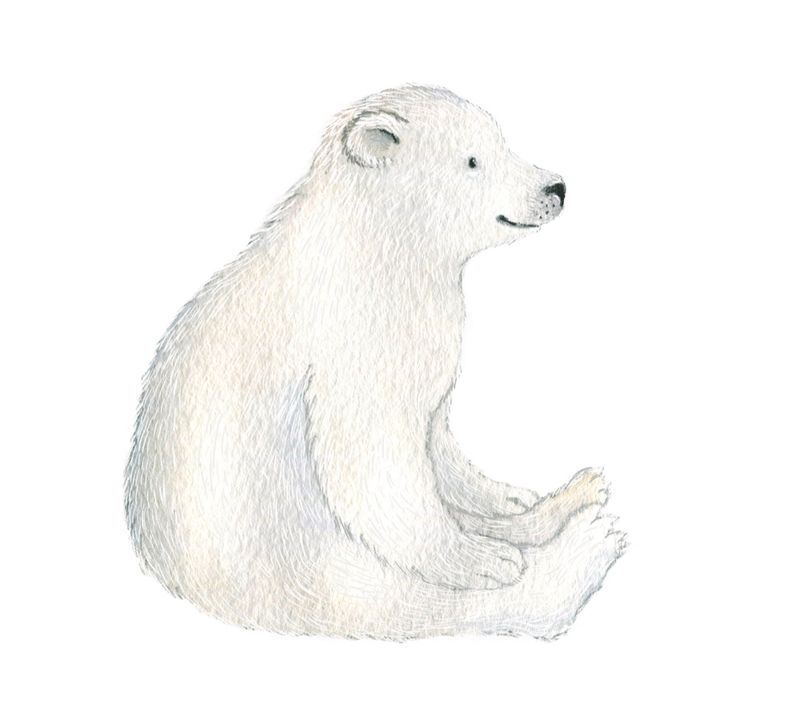 Little Polar Bear wall decal