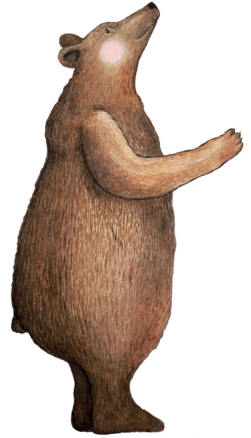 Bear wall sticker for nursery and kids room, perfect with Sleepy Moon wall lamp. Quick and simple Woodland themed Bear Decal