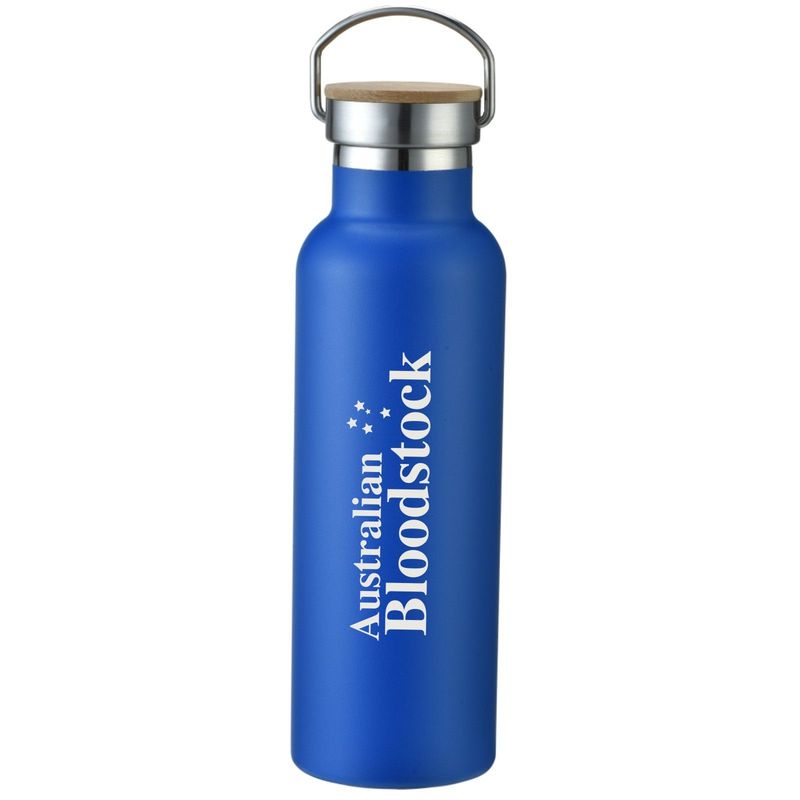 Double Wall Insulated Drink Bottle