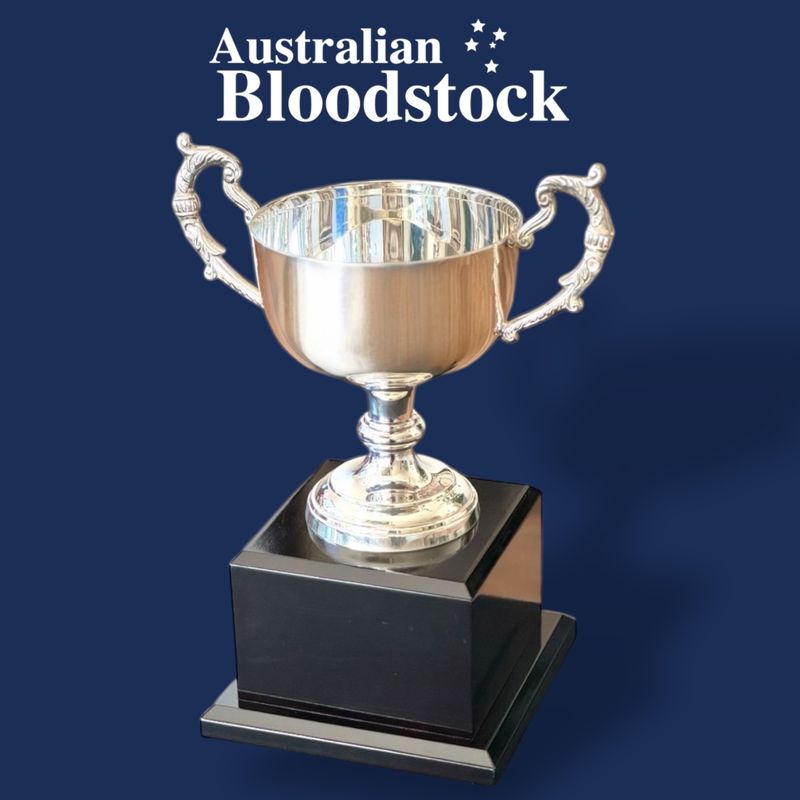 Trophy Sayedaty Sadaty 28th June, 2025