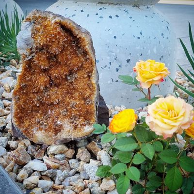 Specimens + Druzy